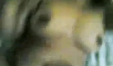 चार इंग्लिश पिक्चर हिंदी में सेक्सी lesbians fucking