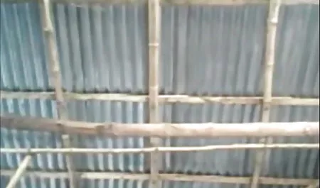 कार्निवल में, मालिक सेक्सी फिल्म भेजो हिंदी में सेक्सी कायरता लैटिन के मालिक है