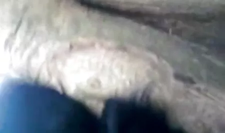 एमेच्योर बिग स्तन सुनहरे हिंदी सेक्सी मूवी वीडियो में बालों वाली श्यामला कट्टर लैटिन
