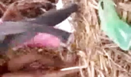 कास्टिंग वेरोनिका उसे यौन कौशल से पता सेक्स फिल्म वीडियो वीडियो में चलता है