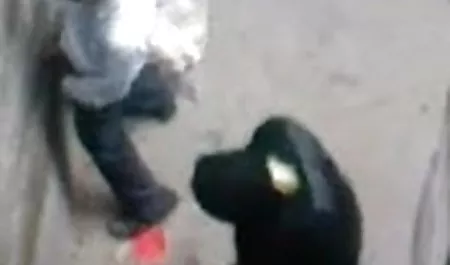 सेक्स के सेक्सी पिक्चर वीडियो में सेक्सी वीडियो में लिए अश्लील अभिनेताओं के बारे में कोरोवा का विश्वास दिखाएँ