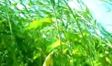 उसने सेक्सी बीएफ फिल्म हिंदी में कहा कि वह गर्भवती थी उसके प्रेमी से कहा और उसे उसकी योनि में डाल करने की अनुमति दी