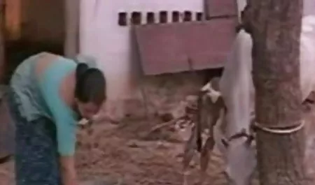 एक अजीब आदमी अपनी खूबसूरत पत्नी के हमलों के रूप में सेक्सी फिल्म हिंदी में बीएफ व्यभिचारी पति के पति चुपचाप देखता है