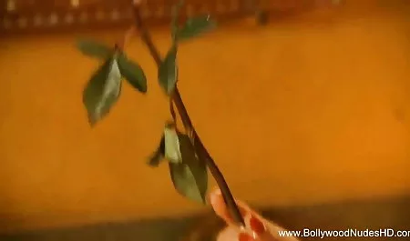 मैं इस अवसर ले लिया और मुर्गा पर वीडियो में सेक्सी चाहिए फिल्म एक सरल पड़ोसी लगाए